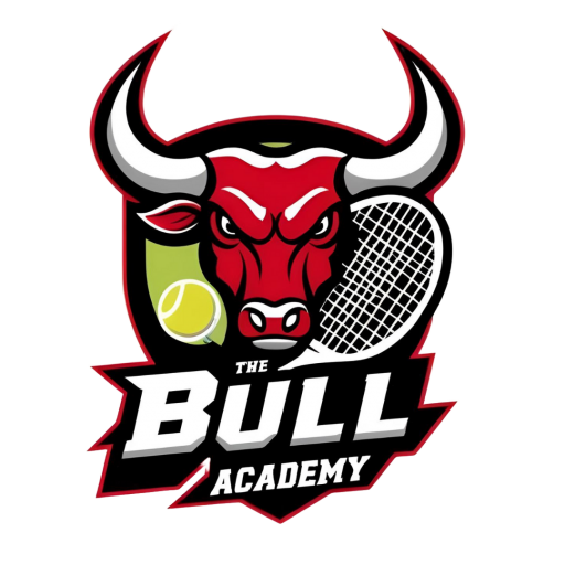THE BULL ACADEMY